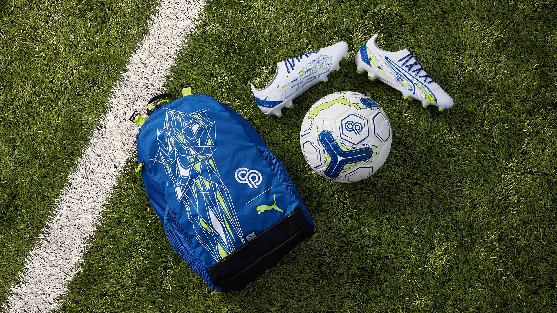 在欧冠赛场 在欧冠赛场